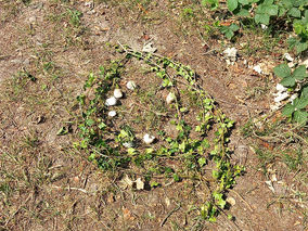 Mandalas an der Weingartenkapelle